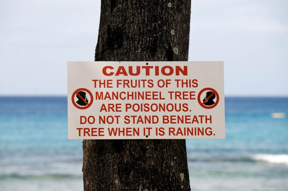 A sign on a tree
AI-generated content may be incorrect.