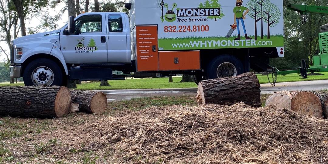 tree service monster tree service nw houston