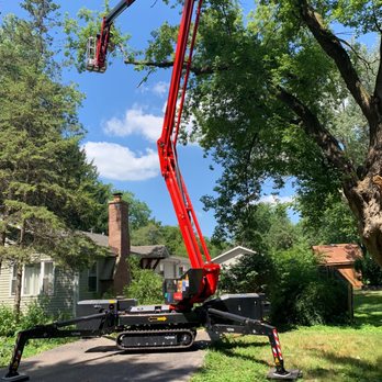 Tree Removal in Gurnee, IL: Your Guide to Responsible Property Care